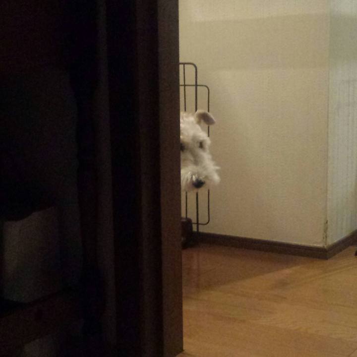 0c260943 6319 4c29 bd7f af1b1ebf138c