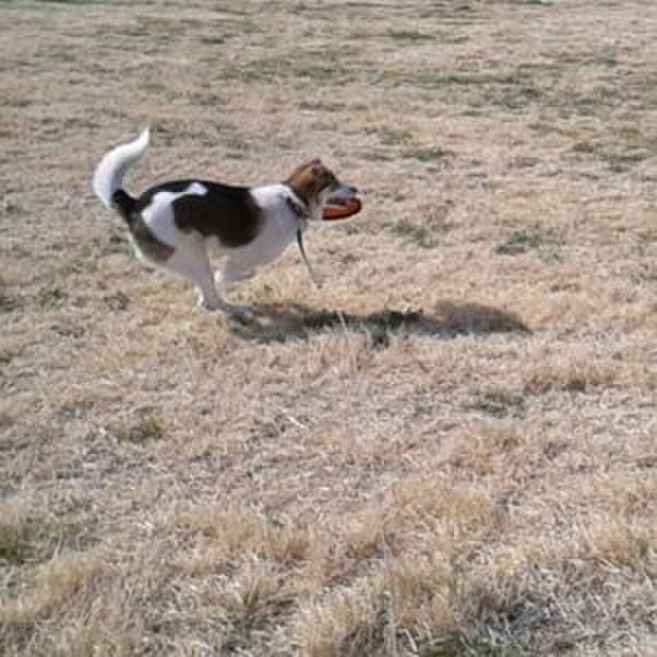 0c272a8e f996 4e90 aa1d 7e01358e81c7