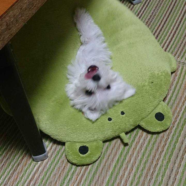 0c27989a b759 4c91 871d 933daed1813b