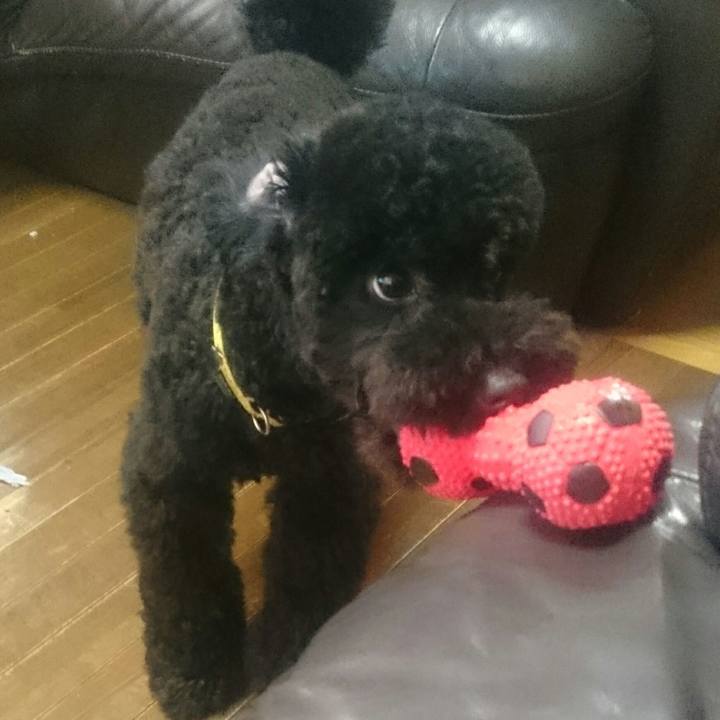 0c27b756 8b9f 4c62 97d8 3291712a503a