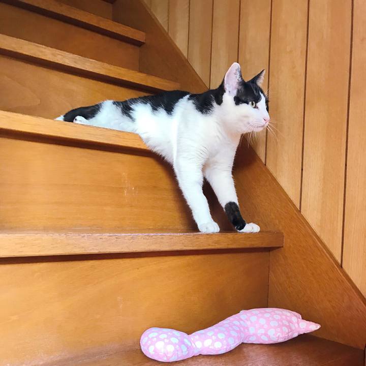 0c28ecca 9cbc 4246 8b6c c8c92e36a58c