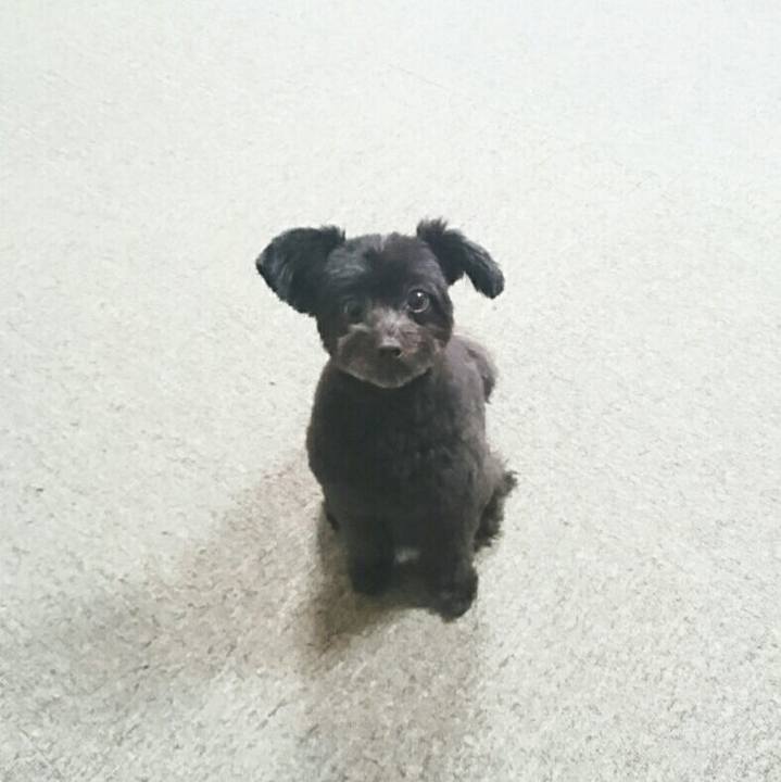 0c291130 454c 4106 ab5e e17292750eb9