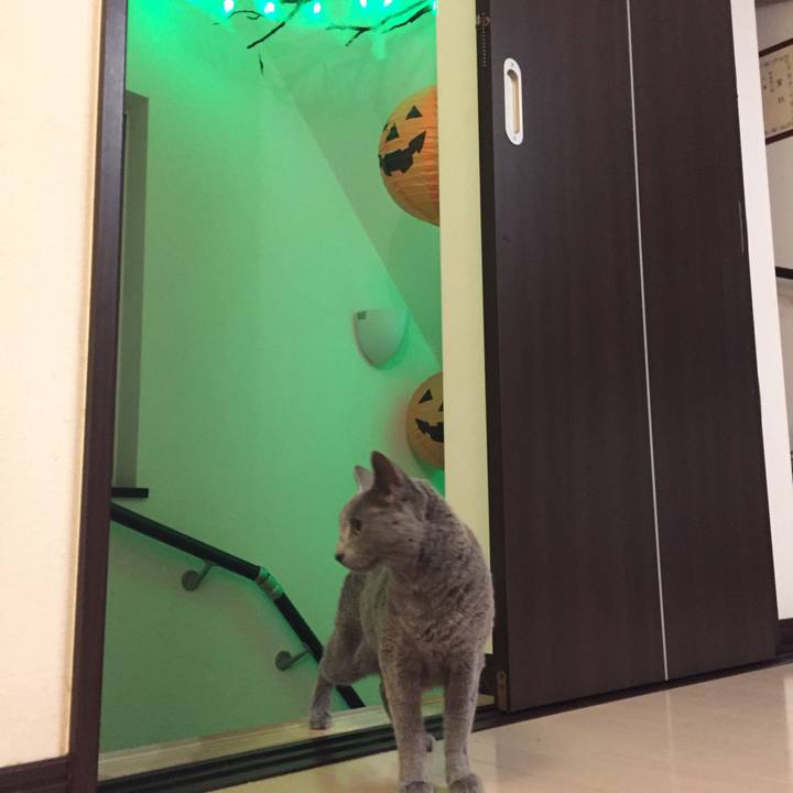 0c299f77 93a8 4480 ada9 a9dfef0f81d7