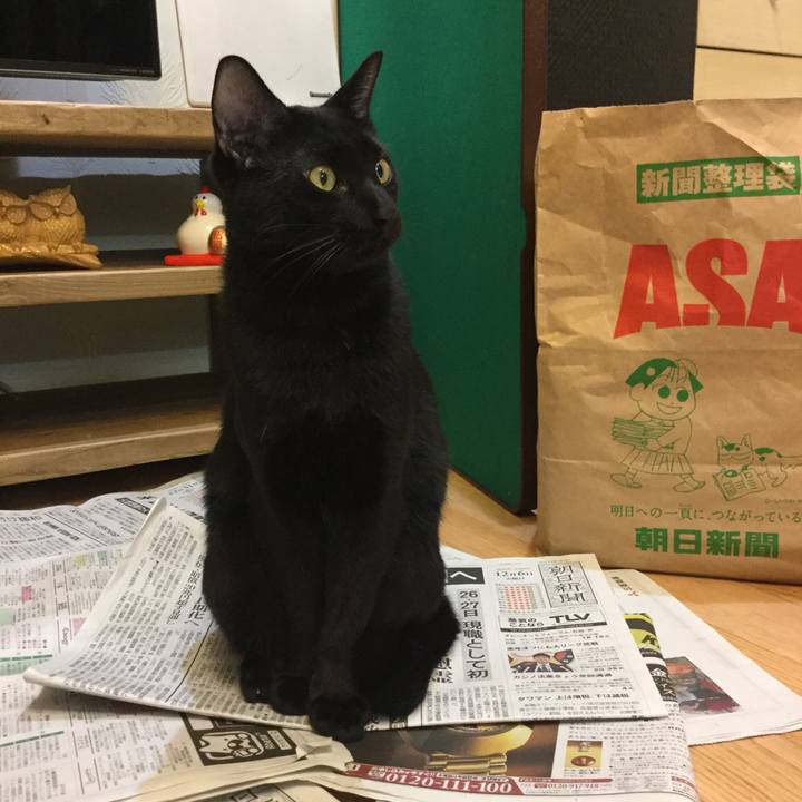 0c2a14c9 9867 4fb8 b4fb 32bbd2fc38ae