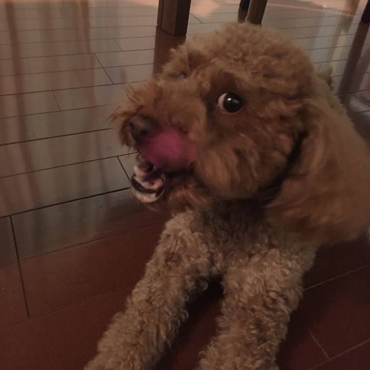 0c2a2346 705c 4901 81ef ef46a2e6b7dc