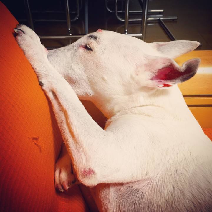 0c2a6efc 7bf9 456b a7ef f24bed998284