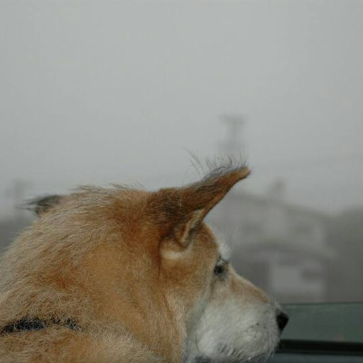 0c2a9f6e 4292 401c 8638 b9414baa6cc7