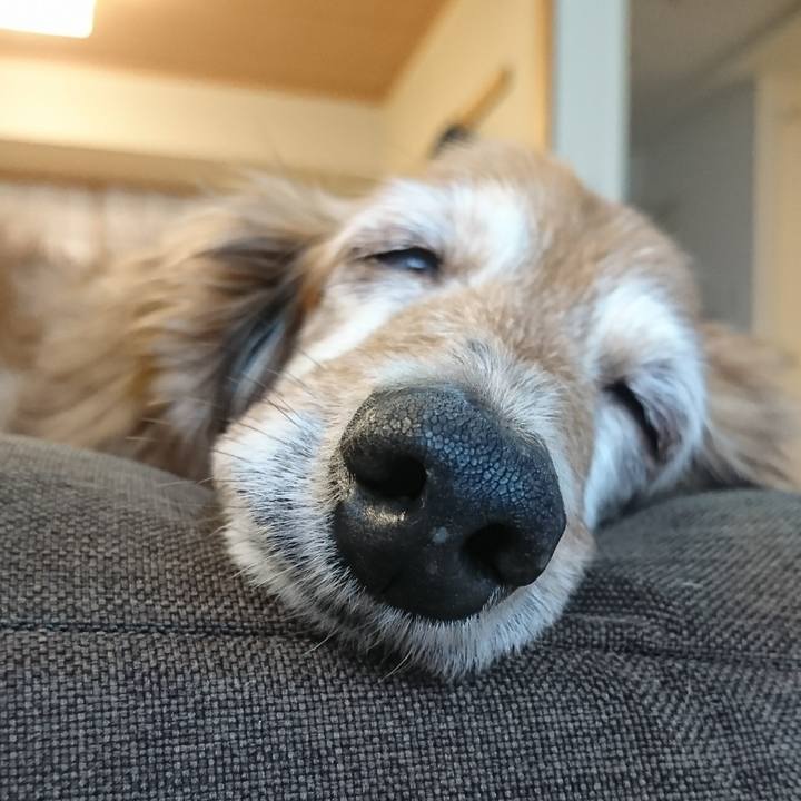 0c2aa225 f8b0 4fe5 b1c4 b60ef1869fd4