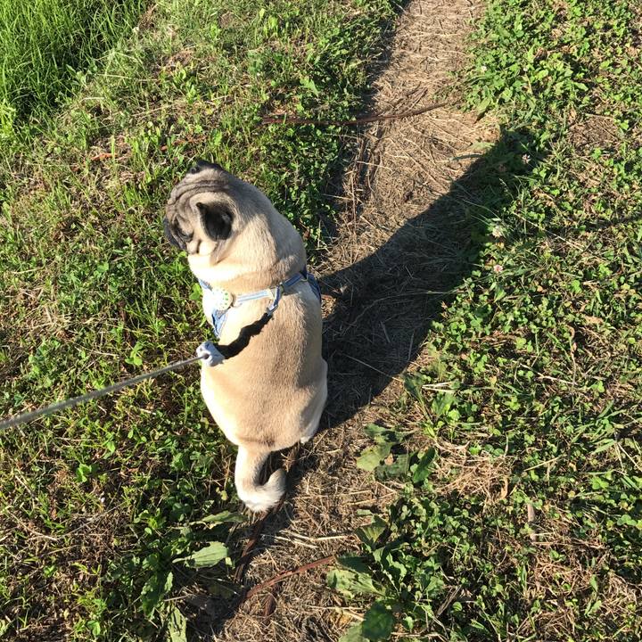 0c2b5203 6c39 48dc adcc ee68c8246f03