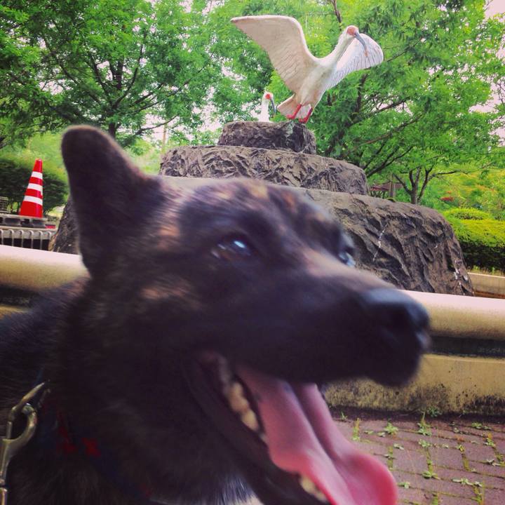 0c2b5c8e cc9c 4285 8e3f 973c38fbf0ce