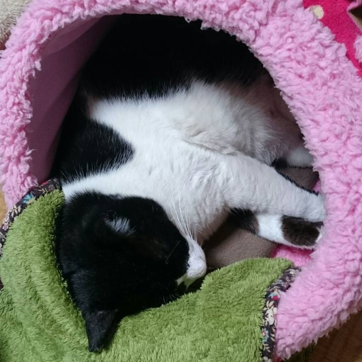 0c2c6939 30b0 4d49 a88d 8a2a5afa3a18