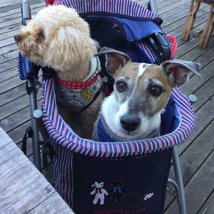 0c2d17bd 72ad 444a a6b7 8bf8a45acca5