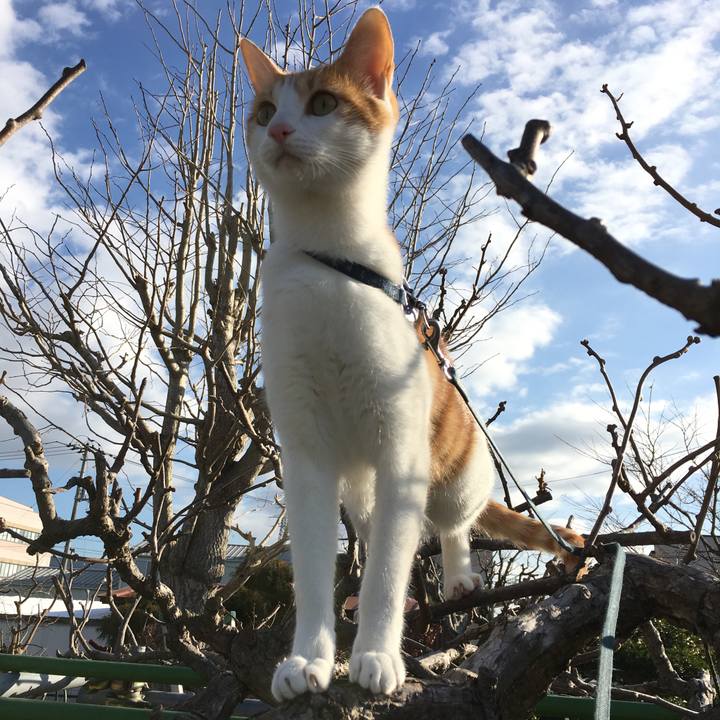 0c2d2bbb d6f9 403e aa3f c8d48b4c2f0e