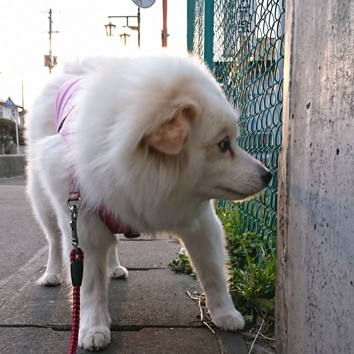 0c2d36f9 cf06 4fd5 ae3e 8eedcbfbb13c