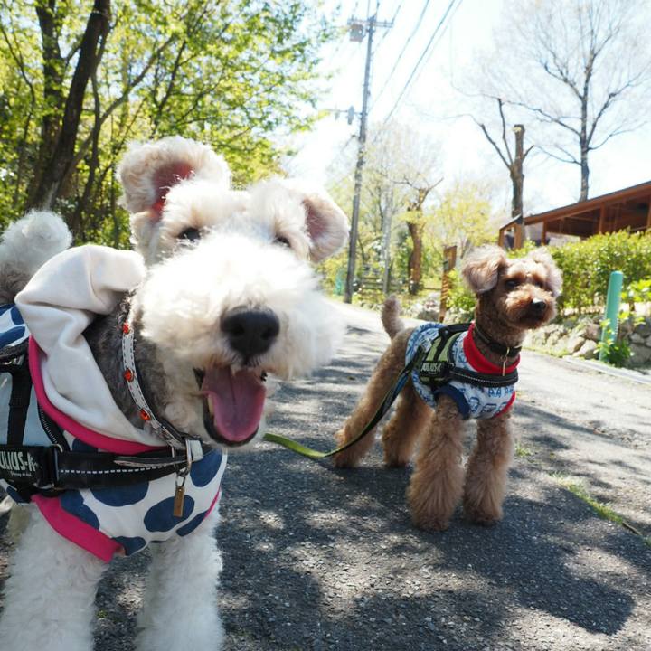 0c2d3752 ea96 4cab 91e6 752bea0e18f9