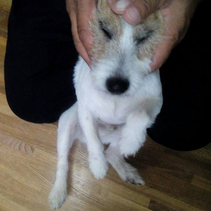 0c2dc059 060e 455e ba99 cf2aeb1223d8