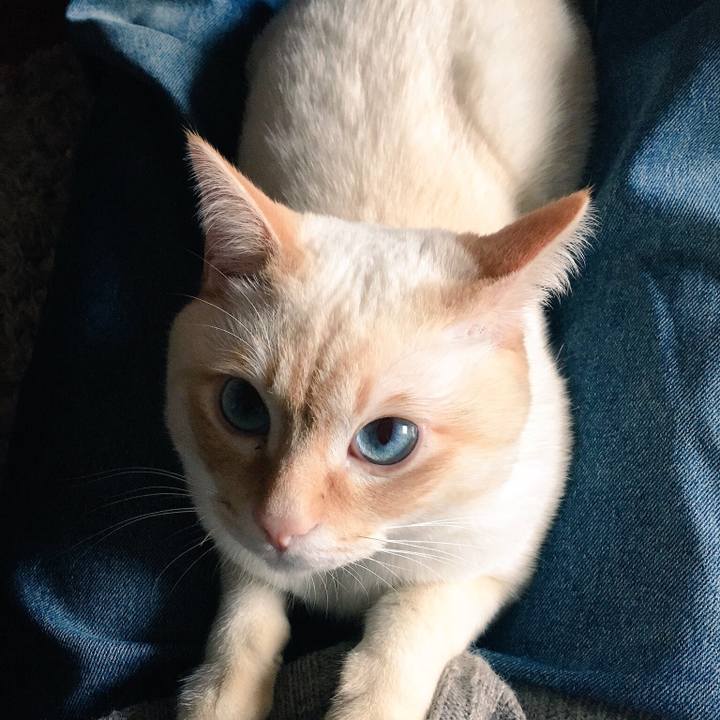 0c2e0184 35da 4e54 9686 f91c54857cda