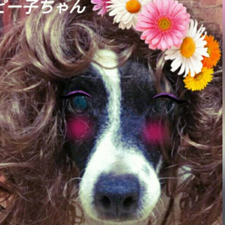 0c2e0802 16fe 4903 b9db 183bea89d40c