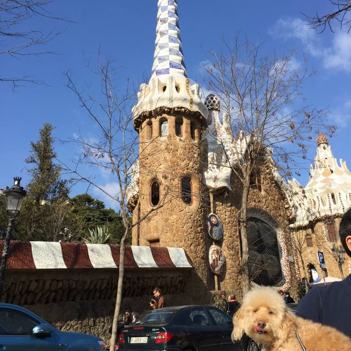 0c2e0f81 35ed 48d3 b44b e2017d559811