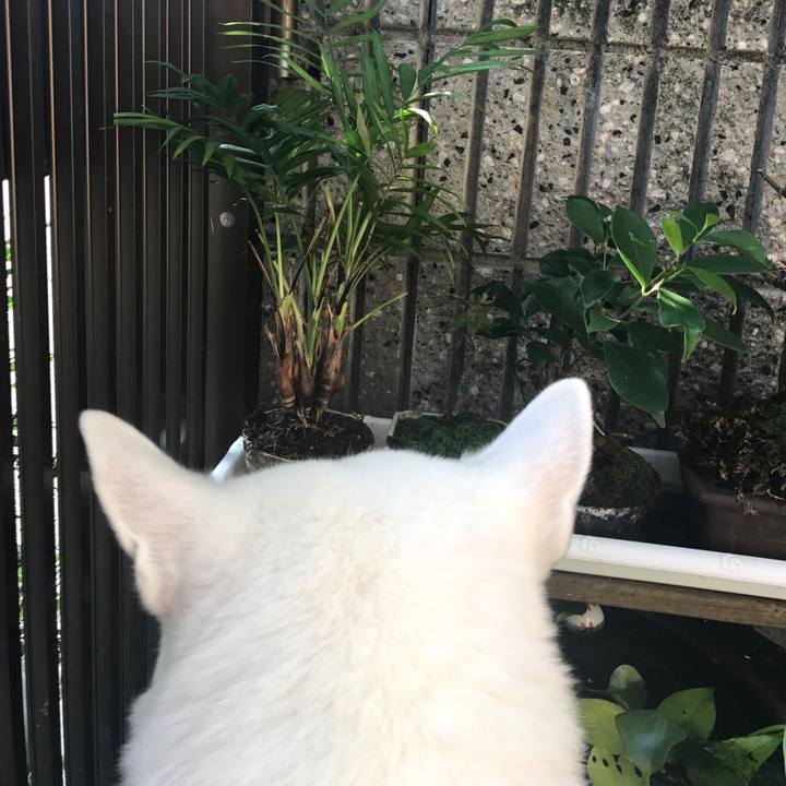 0c2e151c 2aee 4b79 be93 077d9965882f