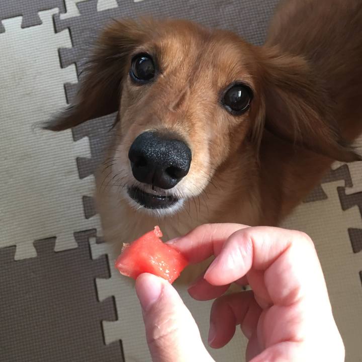 0c2e20e7 fb6d 4189 aa5a 11ee79297f5b