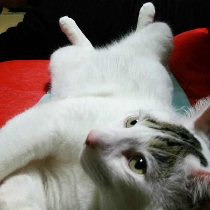 0c2e3640 5129 4a3d a326 87134be1d014