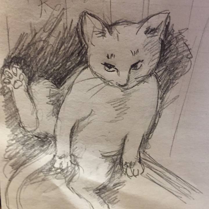 0c2e5f3c b05a 471e 8520 f20972248dd0