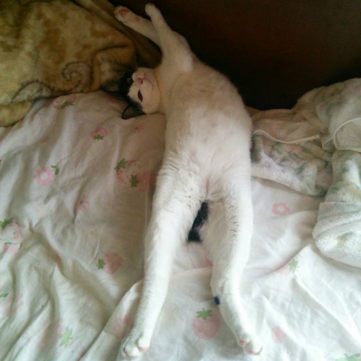 0c2efdc0 e1d9 4962 a809 b1e00871e294