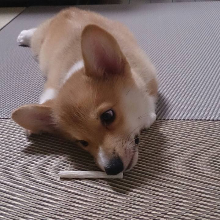 0c2fb4a0 58ec 4686 a54e cade9561d83b