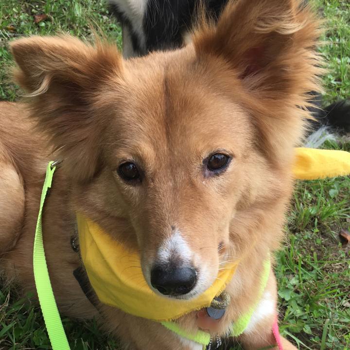 0c307369 96a5 4fbf b51a 12f29525fba4