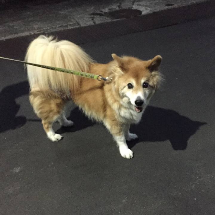 0c30bc1a 1507 466b 88ad 7afa805c0d3a