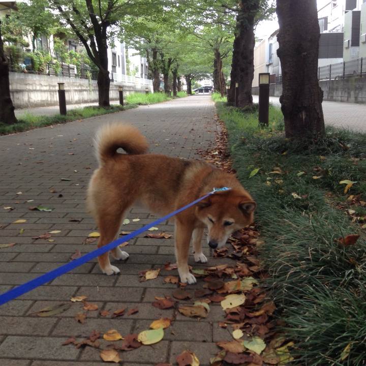 0c317c19 6fdf 4b31 b6f0 56d30067a268