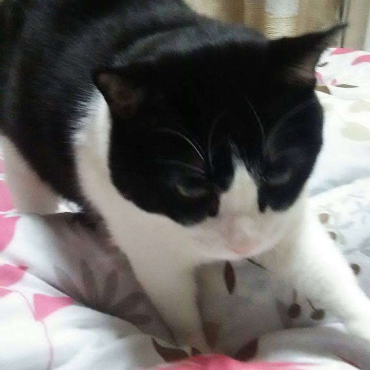 0c318731 2f44 4509 9cc2 5c0c7116900d