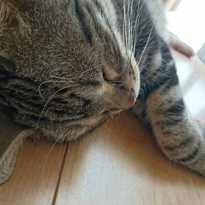 0c31a859 f589 49c9 a78a 71acad879238