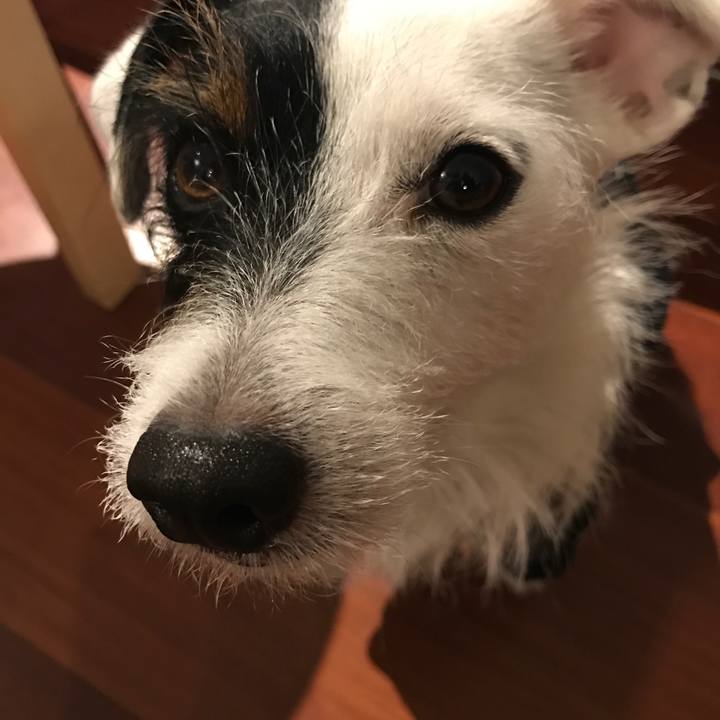 0c31fa88 c10a 41c4 bf9d cf9102a86d44