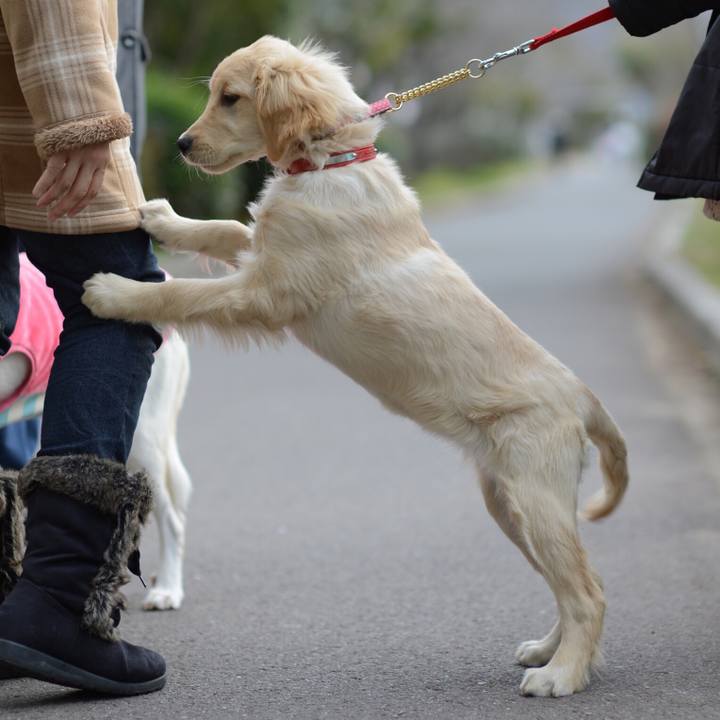 0c3242ca ddc8 4461 a7d4 680491721221