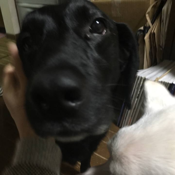 0c32f503 a5d0 42eb b081 2095caef6f2c