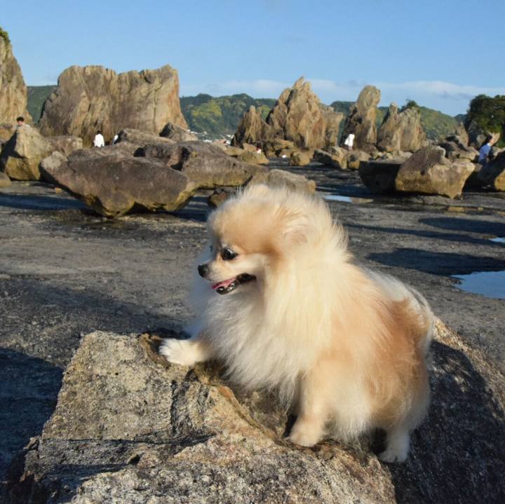 0c333d8b bb8b 4884 af68 d5f67958ee42