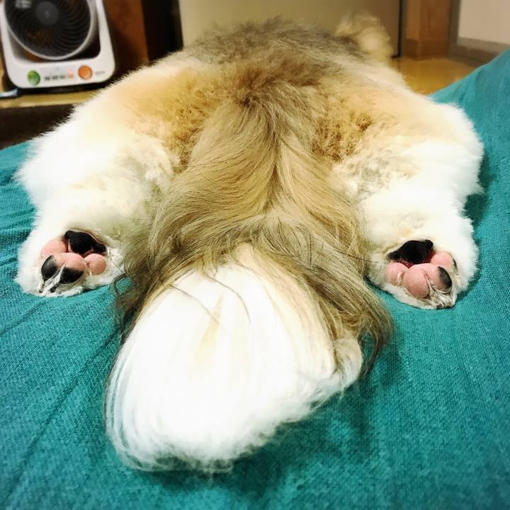 0c334b47 ef05 4464 93be 1229c19e67cc