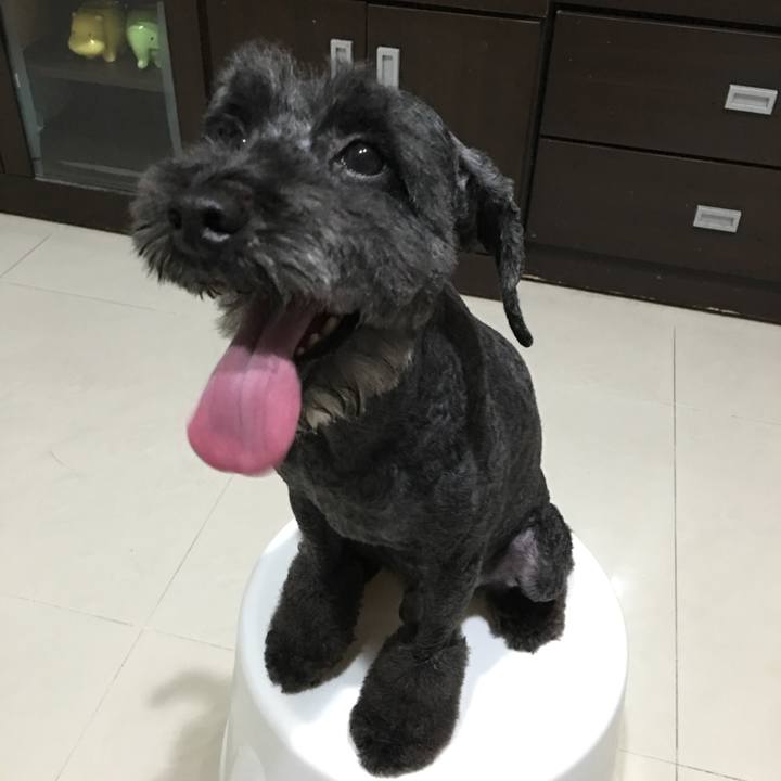 0c33e8af 9d33 4eb3 bede 483fca0cafad