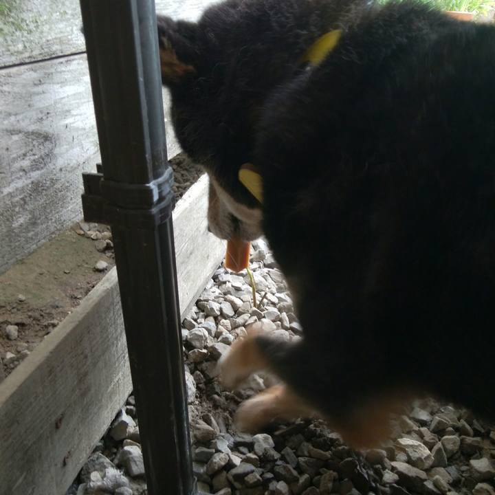 0c34123b 4c25 4472 8500 683b5f9efcab