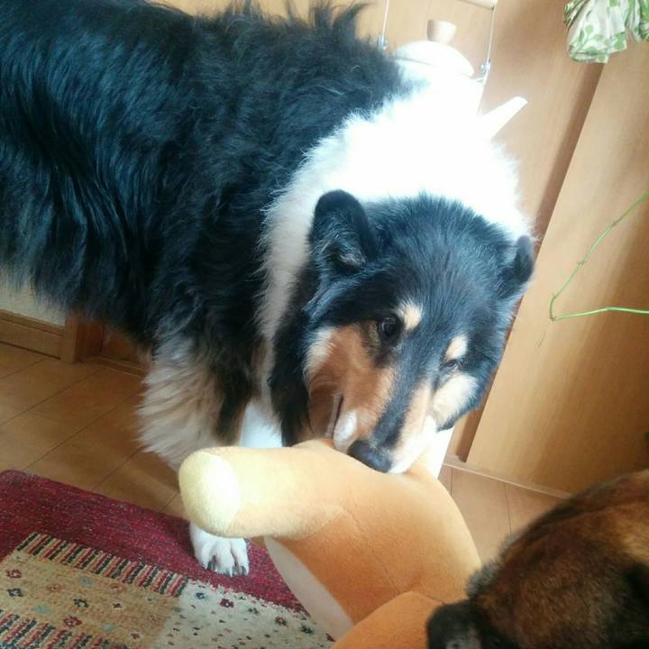 0c341d75 e333 491c 8839 2ed93b011549