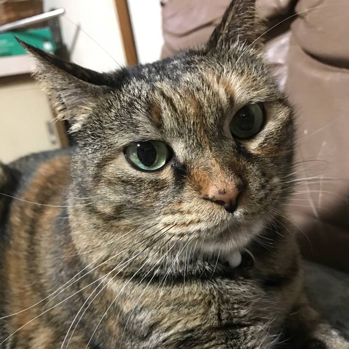 0c34da32 dd34 42a8 b00e fe4f8c14a087