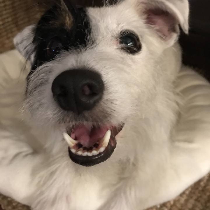 0c356e1f 0969 4bea b336 fec0d427d2b9