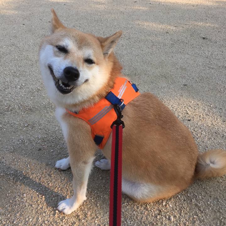 0c365e71 7867 4b35 a128 b67d8d143e5f