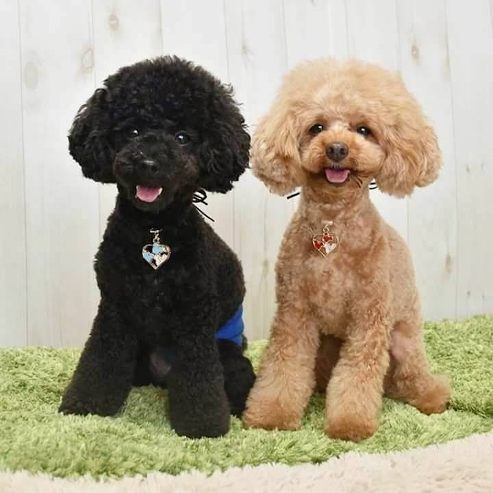 0c368b5e 91ab 4668 99d7 abc9f06099f8