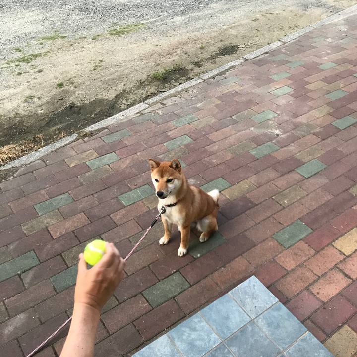 0c36c4e6 6efd 4f65 9cc4 aaeed065df0f