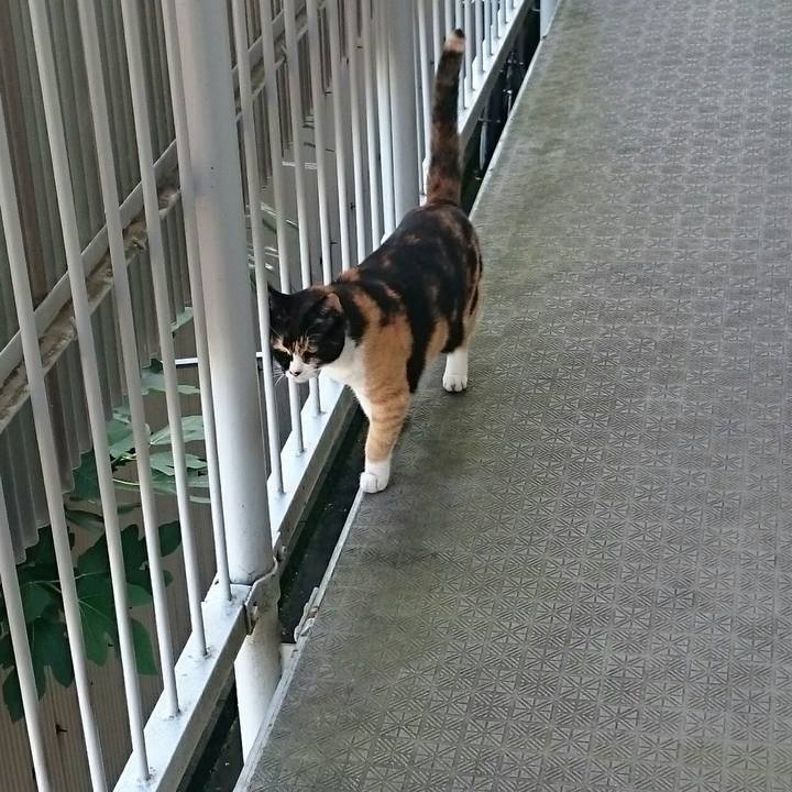 0c375e2a f623 47b3 85ac 3ee0927176b2