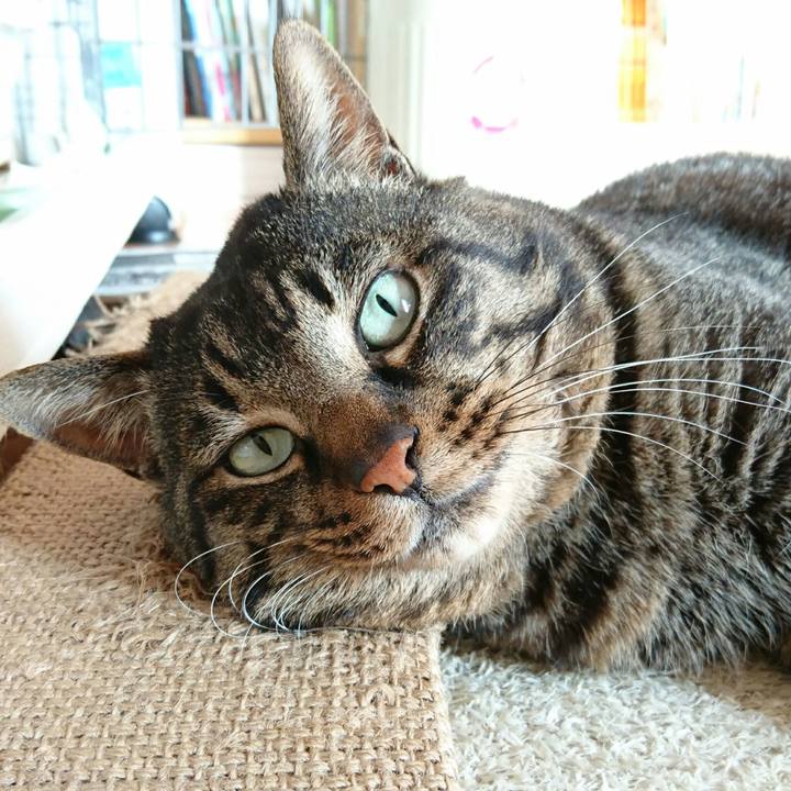 0c37859d 3f09 49b3 99c3 f1d495f93bff