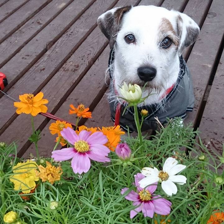 0c37dd43 6884 46bd 8774 d5aaca5f233c